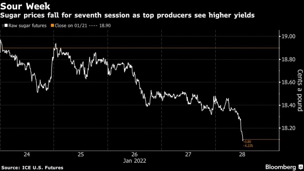 BC-Sugar-in-Longest-Losing-Run-Since-2020-on-Signs-of-Good-Supplies