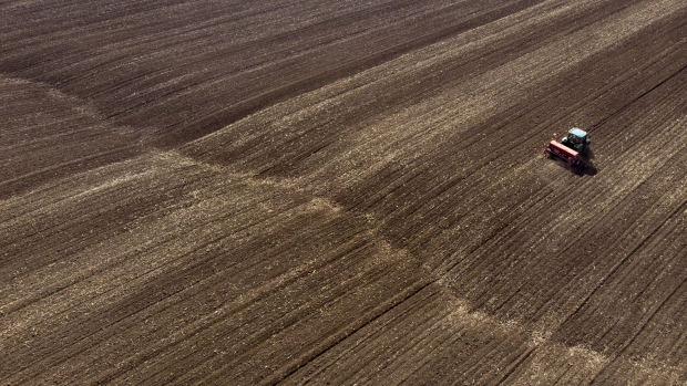 A tractor sows seeds in a field. Photographer: Bloomberg Creative Photos/Bloomberg