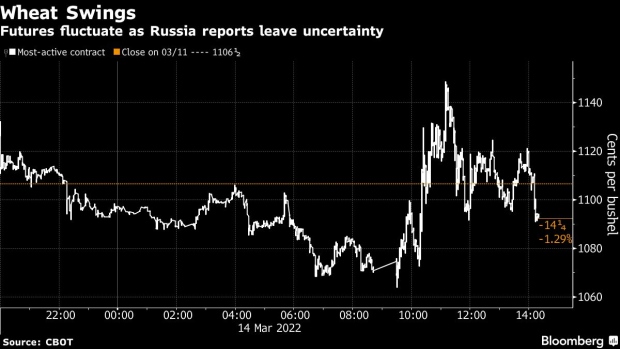 BC-Wheat-Slips-as-Traders-Assess-Ukraine-Russia-Talks-Rates-View
