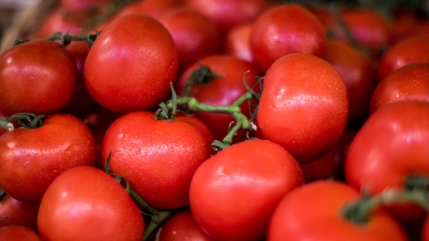 Tomatoes sit on display at the FICO Eataly World Agri-Food Park in Bologna, Italy, on Thursday, Nov. 9, 2017. Eataly, a supermarket and restaurant chain, may be in the pipeline for a 2018 initial public offering.