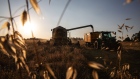 A Lexion combine harvester, manufactured by Claas KGaA, unloads a harvest of barley grain into a trailer in Simanov, Czech Republic, on Wednesday, Aug. 12, 2020. In order to make farming more sustainable, 40% of the European Union’s agriculture budget stimulus package will be dedicated to climate.