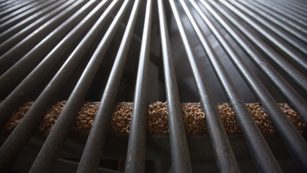 Wheat grain falls through a grate as its unloaded at a grain elevator during the summer harvest on a farm operated by Progress Agro LLC, in Ust-Labinsk, Krasnodar, Russia, on Friday, July 3, 2020. Record-high wheat prices in Russia are helping to slow the country’s recent boom in grain exports. Photographer: Andrey Rudakov/Bloomberg