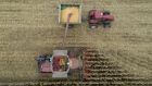 Corn is harvested with a Case IH Agricultural Equipment Inc. combine harvester in an aerial photograph taken over Princeton, Illinois, U.S., on Tuesday, Sept. 29, 2020. December corn futures up 3.4% to $3.77 1/4 a bushel, on pace for the biggest gain for the contract since mid-August.