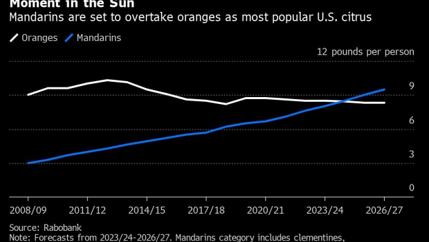 La mandarina destrona a las naranjas como el mejor cítrico fresco del mercado estadounidense