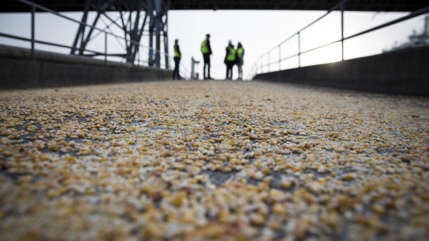 Corn kernels lay on the ground at the United Grain Corp. terminal at the Port of Vancouver in Vancouver, Washington, U.S., on Thursday, Feb. 7, 2019. Ports in the Pacific Northwest have invested hundreds of millions of dollars to expand their ability to ship America's agricultural riches east to an increasingly hungry Asia. Now, amid Trump's trade war with China and no deal with Japan, port officials are concerned where growth will come from if Asia turns elsewhere for crops.