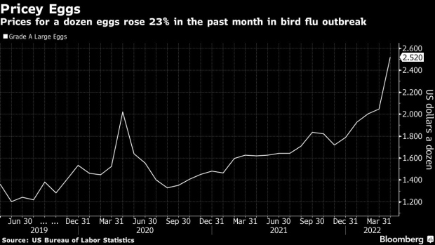 BC-Egg-Prices-Surge-in-US-Inflation-Data-as-Bird-Flu-Wipes-Out-Hens