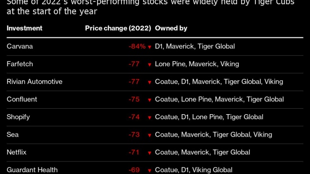 BC-Tiger-Cubs-Crushed-by-Same-Stocks-That-Made-Hedge-Funds-Billions