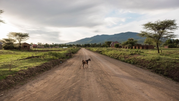 A goat walks across a dirt road in Gedamar village, Babati, Tanzania, on Friday, Feb. 18, 2022. Since solar pay-as-you-go, or paygo, was introduced almost a decade ago, it has been hailed as the answer to the elusive challenge of bringing electricity to hundreds of millions of people currently off the grid in Africa, Asia, and Latin America.