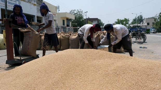 Wheat is grown in the Kasur district of Punjab province, Pakistan, on Tuesday, April 19, 2022. Pakistan's food ministry issued a statement estimating this season's wheat output at 26.8m tons. Photographer: Asad Zaidi/Bloomberg
