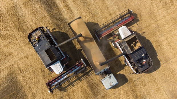 Acros combine harvesters, manufactured by Rostselmash OJSC, unload harvested wheat grain into a truck during the summer harvest on a farm in this aerial photograph taken in Tersky village, near Stavropol, Russia, on Friday, July 9, 2021. Farmers from Kansas to Kyiv are gearing up to collect abundant wheat crops in coming weeks, helping ease a global grain shortfall that’s fueled a surge in prices.