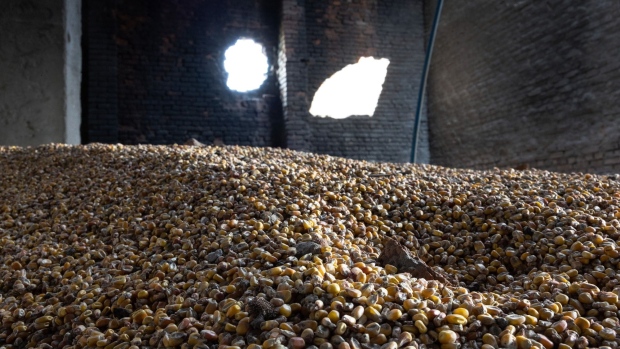 CHERKSKA LOZOVA, UKRAINE - MAY 14: Corn lies scattered in a grain warehouse damaged by Russian tanks on May 14, 2022 in Cherkska Lozova, Ukraine. He said that Russian forces had destroyed the warehouse and farm equipment while occupying territory outside of Kharkiv. Ukrainian and Western officials say Russia is withdrawing forces around Kharkiv, Ukraine's second-largest city, suggesting it may redirect troops to Ukraine's southeast. (Photo by John Moore/Getty Images)