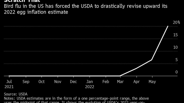 BC-Egg-Prices-Could-Rise-as-Much-as-21%-This-Year-as-Bird-Flu Hits-US