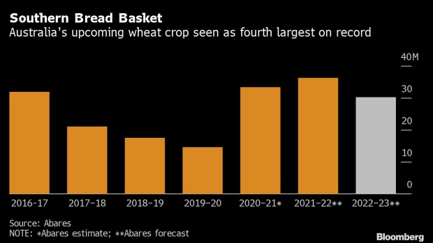 BC-Bumper-Wheat-Crop-Looming-in-Australia-Set-to-Ease-Tight-Market