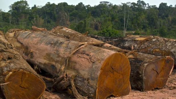 Cut logs sit at a sawmill in Anapu, Brazil, on Thursday, Dec. 18, 2014. The rate of deforestation Brazil's Amazon rain forest dropped 18 percent over the last year, according to a report by the country's environment minister in November.
