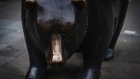 A bear statue stands outside the Frankfurt Stock Exchange, operated by Deutsche Boerse AG, in Frankfurt. Photographer: Peter Juelich/Bloomberg