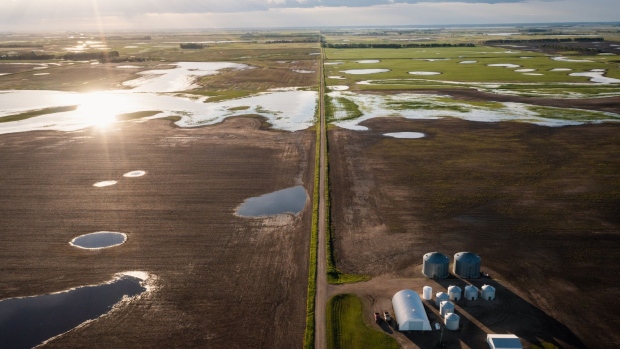 A flooded field of corn crops on a farm in North Dakota. Photographer: Ben Brewer/Bloomberg