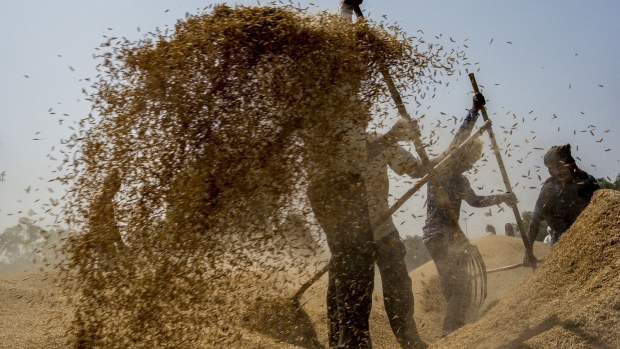 Workers clean rice paddy at a wholesale market in the outskirts in New Delhi, India, on Friday, June 3, 2022. With the world facing mounting food insecurity because of shortages and soaring costs, governments will be watching rice prices for any sign that political unrest is about to erupt. Photographer: Anindito Mukherjee/Bloomberg