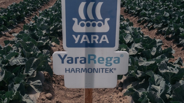 Yara International signage during the Expo Agro Sinaloa in Culiacan, Sinaloa state, Mexico, on Wednesday, March 16, 2022. The 30th edition of the Expo Agro Sinaloa 2022 showcases the advances in science, innovation and technology, in order to face climate change and promote sustainable and inclusive agriculture. Photographer: Jeoffrey Guillemard/Bloomberg