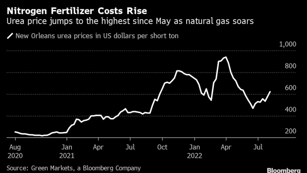 BC-Nitrogen-Fertilizer-Prices-Are-Spiking-as-Natural-Gas-Soars