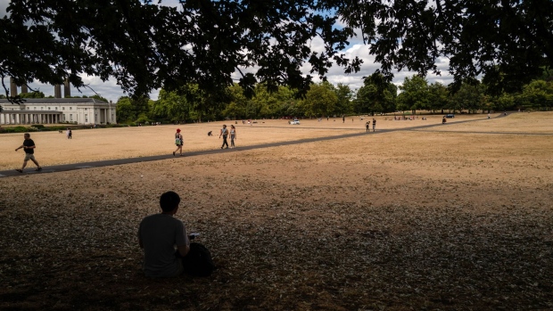 A visitor shelters in the shade of a tree on parched ground in Greenwich Park in the Greenwich district of London, UK, on Wednesday, Aug. 3, 2022. Across London — and most of England — the unprecedented heat this summer has pushed plant life, infrastructure and residents to the edge.