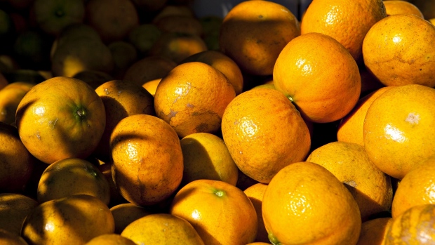 Freshly picked oranges sit in a bin at an orange grove in Winter Garden, Florida, U.S., on Tuesday, Jan. 5, 2010.  Photographer: Matt Stroshane/Bloomberg