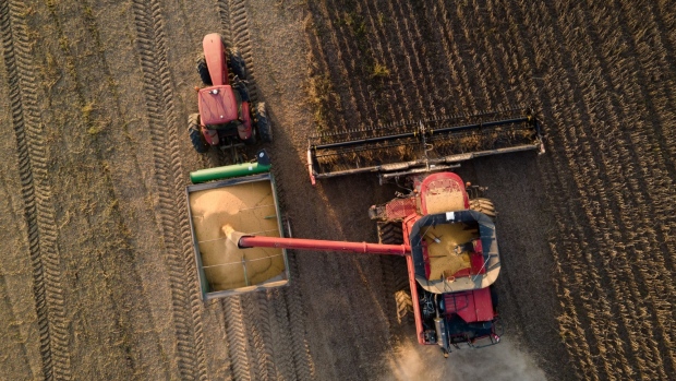 A combine harvester unloads soybeans into a grain cart during a harvest in Pace, Mississippi, U.S., on Thursday, Oct. 7, 2021. The U.S. Department of Agriculture (USDA) is scheduled to release 2021-22 soybean stockpiles estimates on October 12.