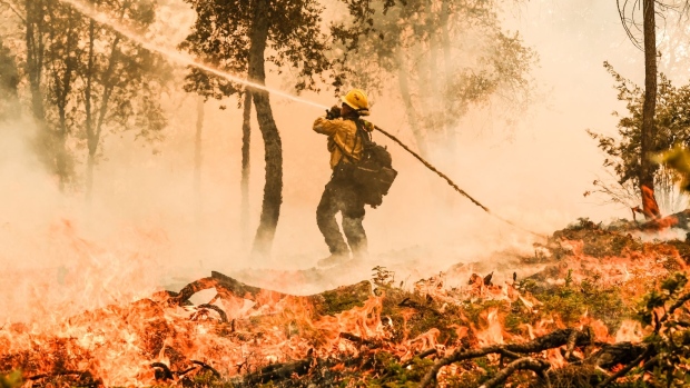 A firefighter works to control a backfire operation conducted to slow the advancement on a hillside during the Oak Fire in Mariposa County, California, US, on Sunday, July 24, 2022. A fast-moving wildfire near Yosemite National Park exploded in size Saturday into one of California's largest wildfires of the year, prompting evacuation orders for thousands of people and shutting off power to more than 2,000 homes and businesses. Photographer: David Odisho/Bloomberg