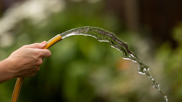 LONDON, UNITED KINGDOM - AUGUST 03: In this photo illustration a hosepipe is used to water a garden on August 03, 2022 in London, United Kingdom. Hosepipe bans have been issued in parts of the south including Hampshire, which comes into force from August 5th, and Kent which comes into force on August 12th. (Photo by Dan Kitwood/Getty Images) Photographer: Dan Kitwood/Getty Images Europe