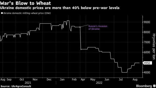 BC-Ukraine’s-Wheat-Is-Flowing-Again-But-Fears-Grow-About-Next-Crop