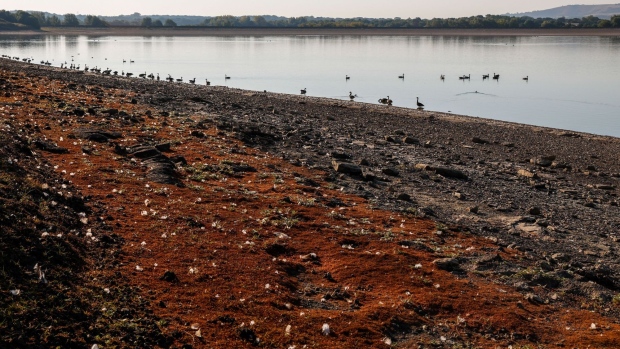 The exposed bed of the Arlington Reservoir, operated by South East Water Ltd., near Polegate, UK, on Friday, Aug. 12, 2022. Extreme heat and dry weather are putting intense pressure on England's water supply.