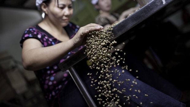 Workers sort through green robusta coffee beans for defects that cannot be removed mechanically, at the Highlands Coffee processing plant in Ho Chi Minh City, Vietnam, on Friday, Oct. 1, 2010.  Photographer: Jeff Holt/Bloomberg