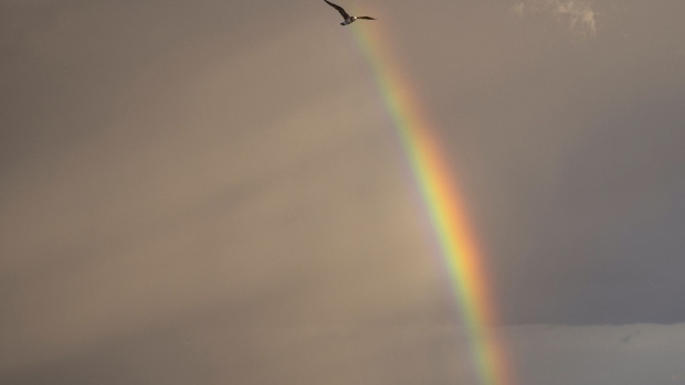 A seagull flies as a rainbow rises the sea west of the Noto Peninsula, Japan, on Wednesday, Nov. 17, 2021. Prime Minister Fumio Kishida has announced support for industries like fishing and freight, as well as subsidies for oil refiners aimed at keeping the energy price shocks from reaching consumers.