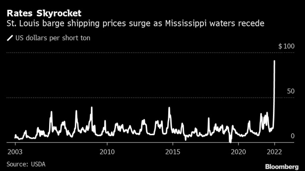 BC-Grain-Shippers-Slowed-by-Mississippi-River-Drought Also-Race-Against-Winter