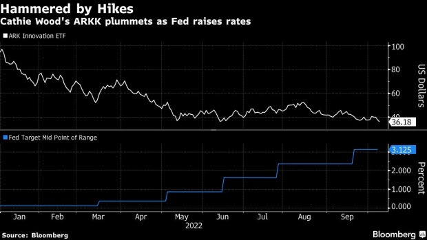 BC-Cathie-Wood-Warns-Fed-of-Policy-Error-as-Rate-Hikes-Hit-ARK-ETFs