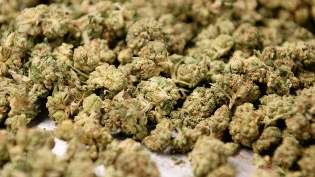 Shoppers in Florida with medical marijuana cards will be able to buy weed at gas stations next year.