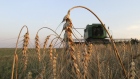 A Deere & Co. John Deere combine harvester is used to harvest wheat at an OAO Razgulay Group operated farm in Orel, Russia, on Monday, Aug. 8, 2011.  Photographer: Andrey Rudakov/Bloomberg