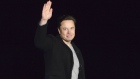 Elon Musk wave