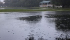 Rain falls on flooded Victoria Park in central Auckland the morning after record heavy rain on Jan. 28, 2023.