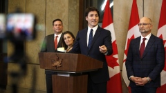 Justin Trudeau speaks in Ottawa last month.