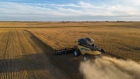 A combine harvester cuts wheat on a farm near Dinsmore, Saskatchewan, Canada, in 2022.