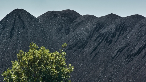 Piles of coal beyond a tree against a blue sky. Photographer: Bloomberg Creative Photos/Bloomberg Creative Collection