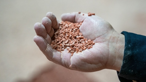 A worker holds potash fertilizer at the Nutrien Cory potash mine in Saskatoon, Saskatchewan, Canada, on Tuesday, Nov. 29, 2022. Nutrien Ltd., the world's largest provider of crop inputs and services, expects farmers to begin rebuilding their stocks of fertilizers heading into the new year after running down inventories amid supply challenges.