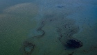 An oil patch floating in the water during an oil spill at a beach. Photographer: Bloomberg Creative Photos/Bloomberg Creative Collection
