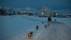 Dogs training in Nunavut