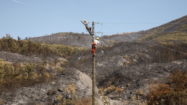Workers repair electricity cables following a wildfire in Alexandroupolis, Greece. Photographer: Konstantinos Tsakalidis/Bloomberg