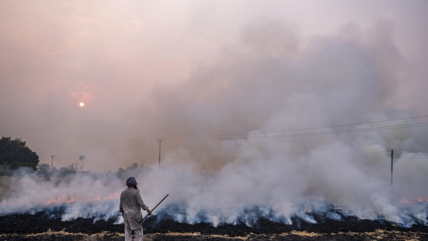 A farm worker monitors the burning of rice crop stubble in the Patiala district of Punjab, India, on Wednesday, Nov. 6, 2019. Each year India's rice farmers burn the stubble of the harvested crop, contributing to an annual haze that damages the health of those in and around the capital. Yet the country is producing more rice than it needs thanks to government subsidies.