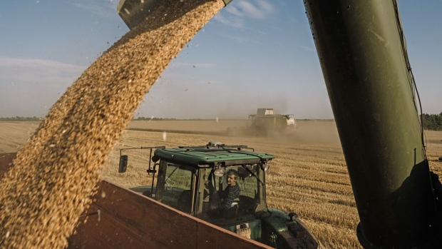 A wheat harvest near Kyiv. Photographer: Andrew Kravchenko/Bloomberg