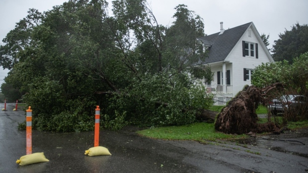 An uprooted tree tangled in a power line during post-tropical cyclone Lee in St. Andrews, New Brunswick, Canada, on Saturday, Sept. 16, 2023. The Canadian Maritimes will take the hardest hit from Hurricane Lee, now officially a post-tropical cyclone with maximum winds of 80 miles per hour.