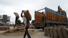Workers load bags of paddy rice on a truck at the grain market in Ambala, India, on Sunday, Oct. 9, 2022. Rice is a staple food for about half of the world’s population, with Asia producing and consuming about 90% of global supply.
