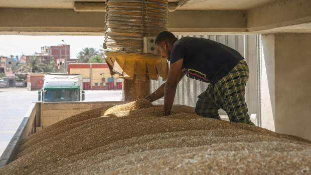 A worker fills a truck with wheat grain ready for shipping to a mill at a government-operated grain silo in Al Qorin, Egypt, on Wednesday, Aug. 24, 2022. Egypt depends heavily on grain shipments from the Black Sea -- one of the world’s top supply regions -- and its wheat stockpiles were initially hit by the war that began in late February.